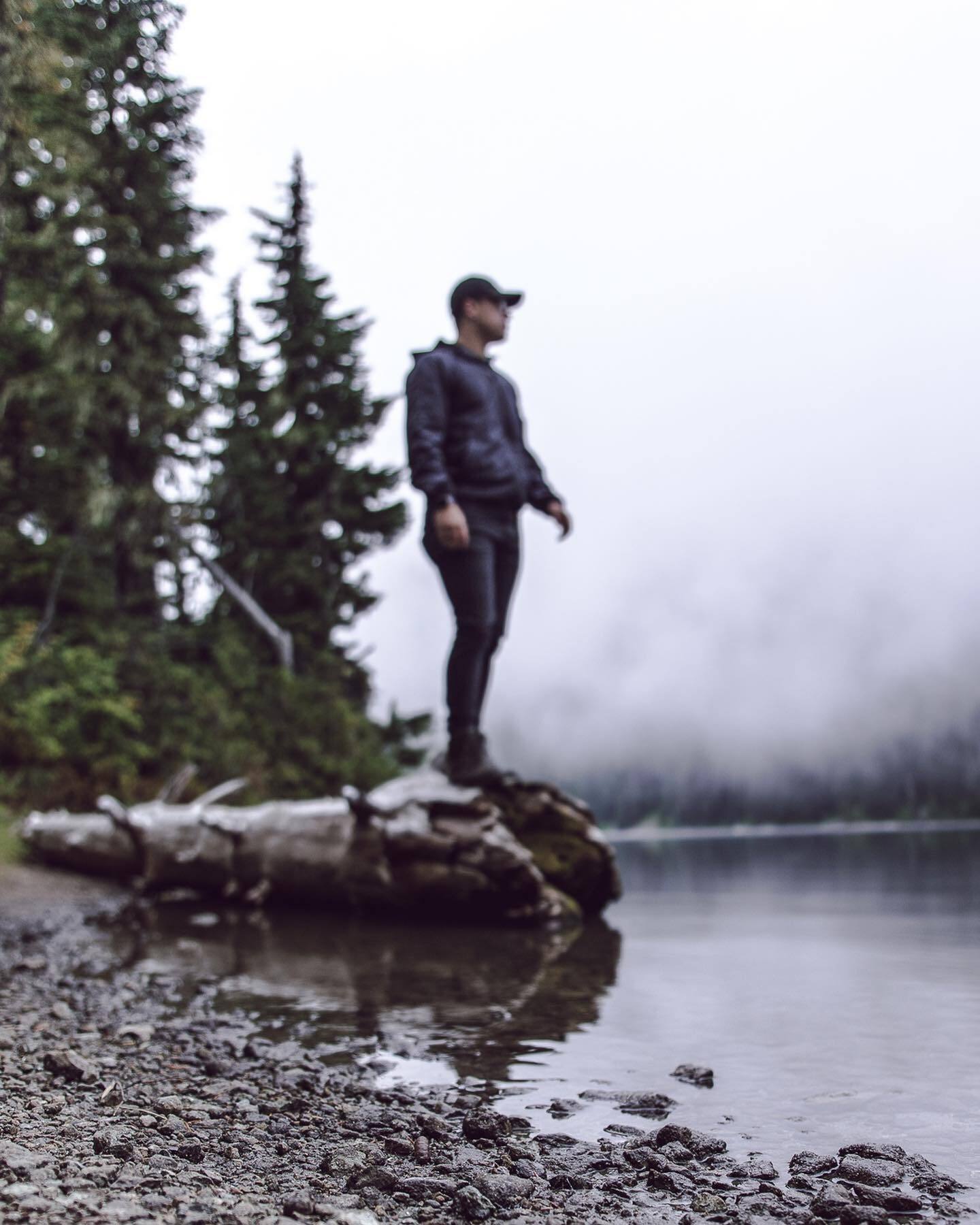 A figure stands on a fallen log in a misty mountain lake