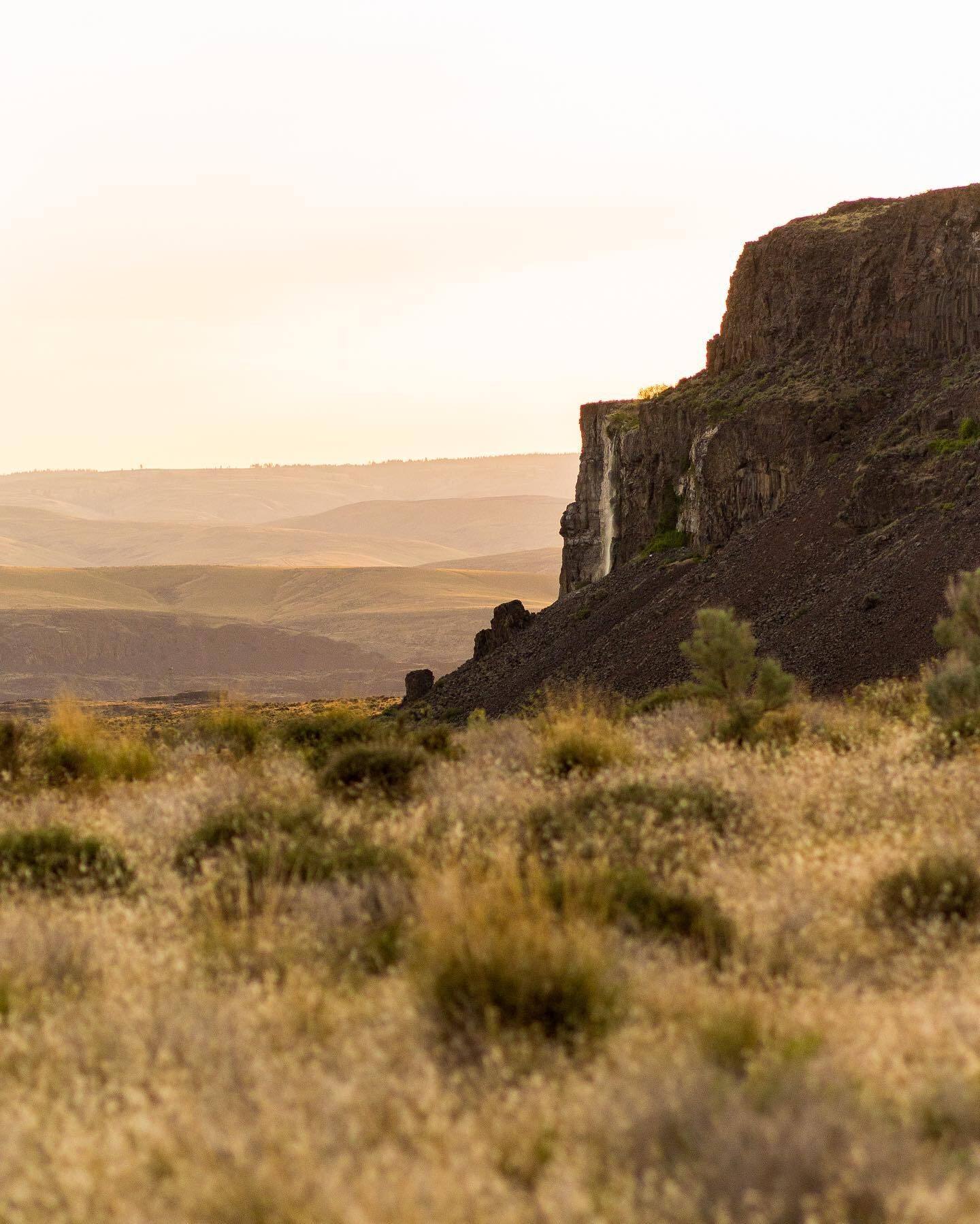 Sagebrush and basalt cliffs in warm light