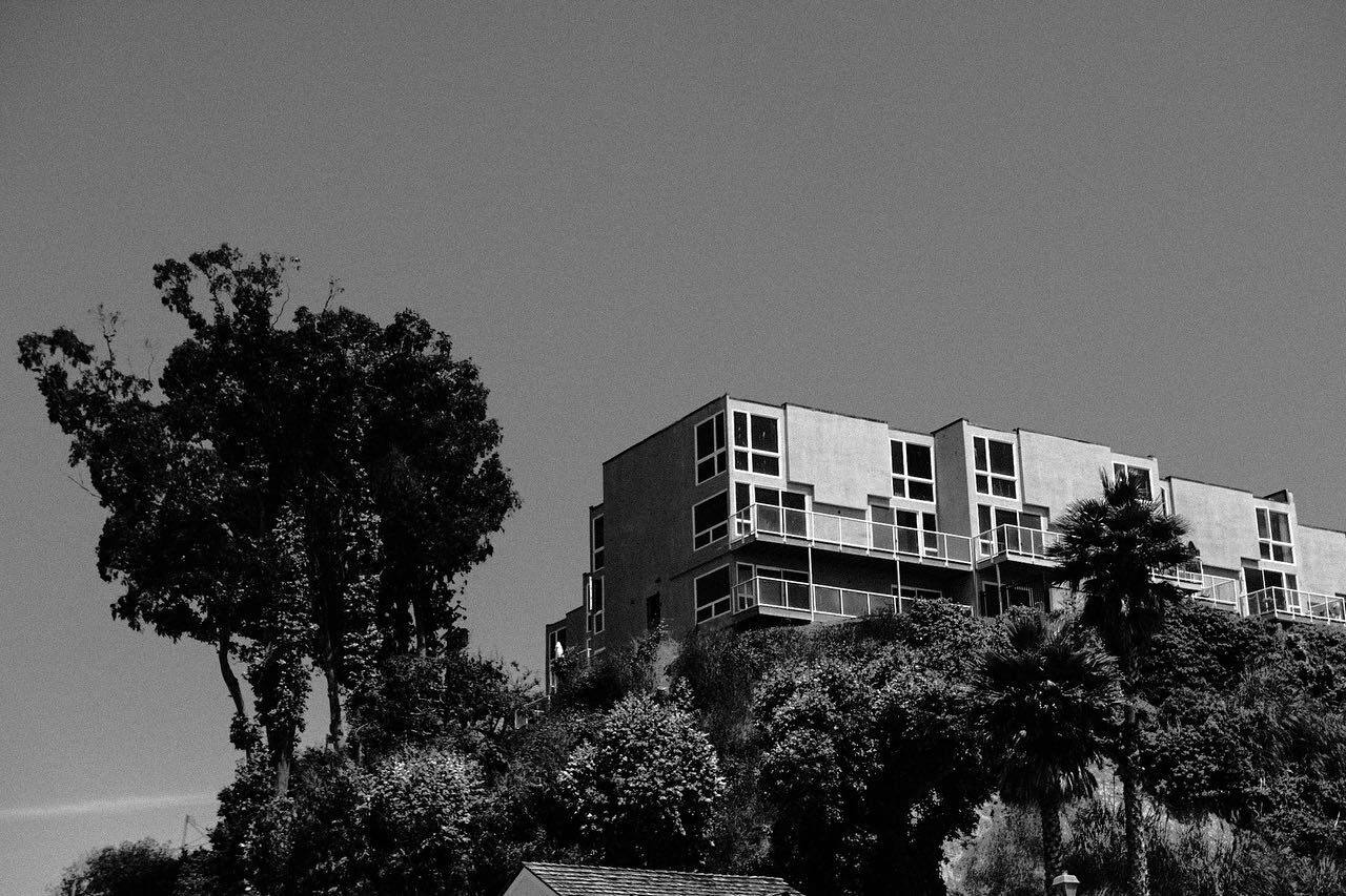 A modern building rising behind trees, black and white